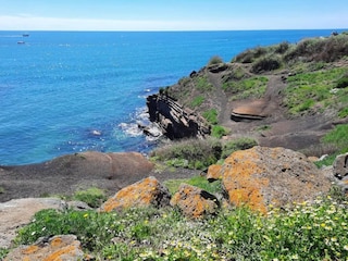 Apartment Cap d'Agde Umgebung 26