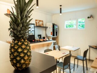 Appartement Plouzané  17