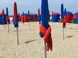 Apartment Deauville  13