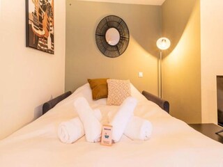 Apartment Toulouse Features 21