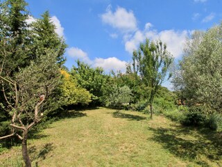 Ferienhaus Jonquerettes Umgebung 23