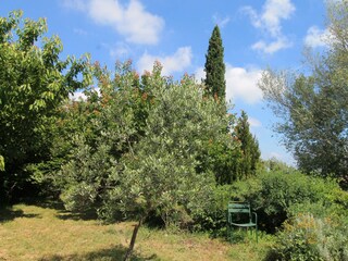 Holiday house Jonquerettes Environment 33