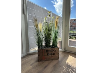 Dekoration Wohnbereich