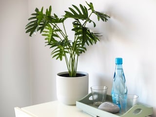 Apartment Caramujeira Ausstattung 33