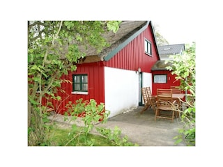 Ferienhaus Prerow Außenaufnahme 4