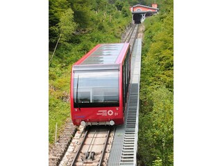 Ferienwohnung Kaltern Umgebung 12