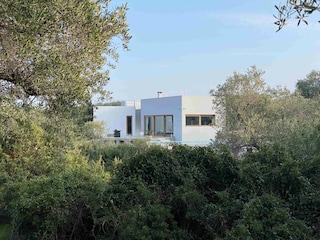 Hideaway inmitten üppiger Natur