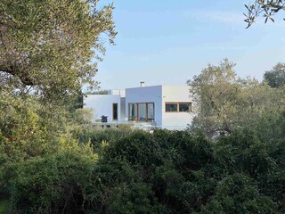 Hideaway surrounded by lush nature