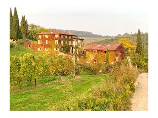 OVERVIEW