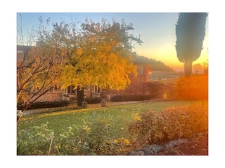 GARDEN, SUNSET