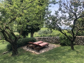 Ferienhaus Verona Außenaufnahme 7