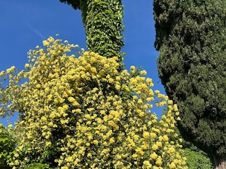 Ferienhaus Verona Umgebung 39