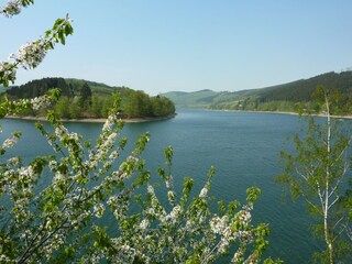 Naturpark Diemelsee