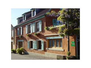 Ferienhaus Katzenthal Außenaufnahme 6