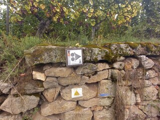 Holiday house Katzenthal Environment 8