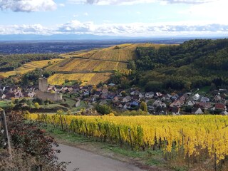 Holiday house Katzenthal Environment 9