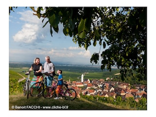 Holiday house Katzenthal Environment 10