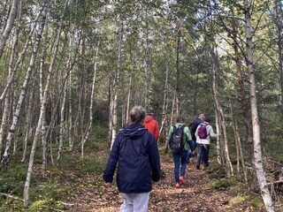 Holiday house Katzenthal Environment 11