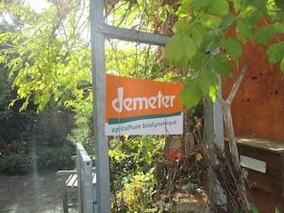 Ferienhaus Katzenthal Dokument 19