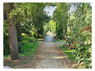 Ferienwohnung Kühlungsborn Außenaufnahme 12