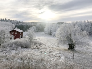 wintertime at the farm