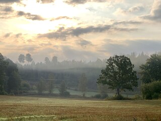 Beautiful surroundings