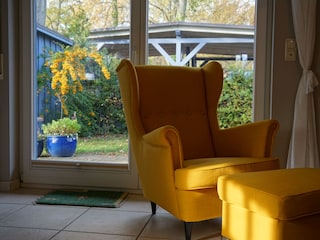 Blick in den Garten