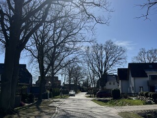 quiet road