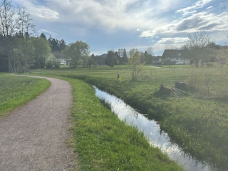 Ferienwohnung Ludwigswinkel Umgebung 22
