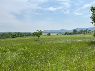 Ferienwohnung Ludwigswinkel Umgebung 36