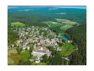 Friedenweiler