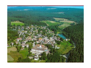Vakantieappartement Friedenweiler Omgeving 39