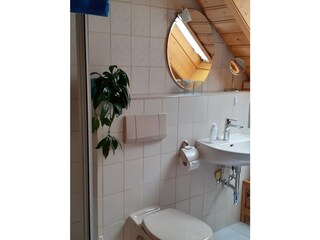 Apartamento de vacaciones Friedenweiler Características 29