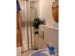 Appartamento per vacanze Friedenweiler Caratteristiche 28