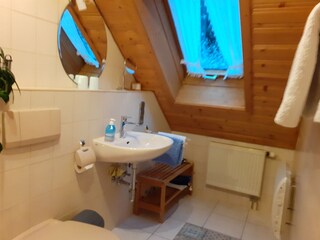 Appartamento per vacanze Friedenweiler Caratteristiche 27