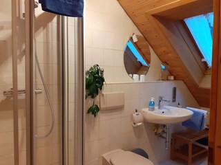 Apartamento de vacaciones Friedenweiler Características 26