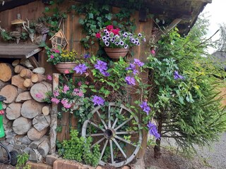 Apartamento de vacaciones Friedenweiler Grabación al aire libre 10