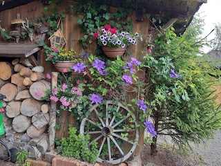 Appartement de vacances Friedenweiler Enregistrement extérieur 10