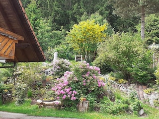 Appartement de vacances Friedenweiler Enregistrement extérieur 9