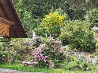 Vakantieappartement Friedenweiler Buitenaudio-opname 9