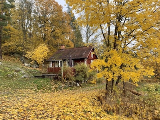 Autumn!