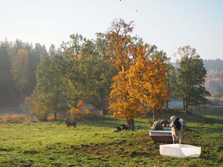 Schöne Umgebung