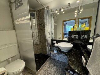 Apartamento de vacaciones Hinterzarten Características 6