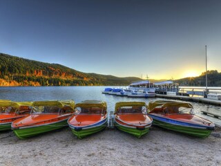 Appartamento per vacanze Hinterzarten Ambiente 10