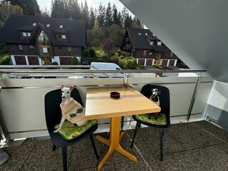 Appartamento per vacanze Hinterzarten Registrazione all'aperto 2