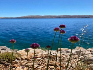 Apartamento Tribanj Krušcica Entorno 23