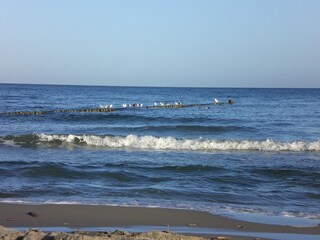 Endlose Weiten der Ostsee