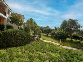 Appartement Porto Pollo Buitenaudio-opname 4