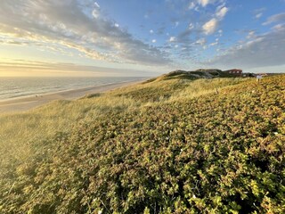 Appartamento per vacanze Westerland Ambiente 18