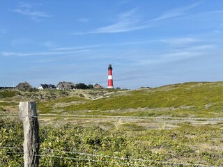 Appartamento per vacanze Westerland Ambiente 19